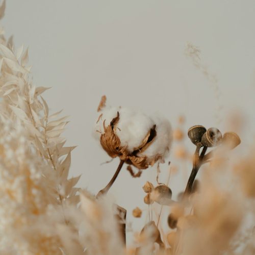 pexels-cottonbro-4273425